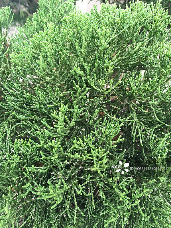 多向纹理图片素材