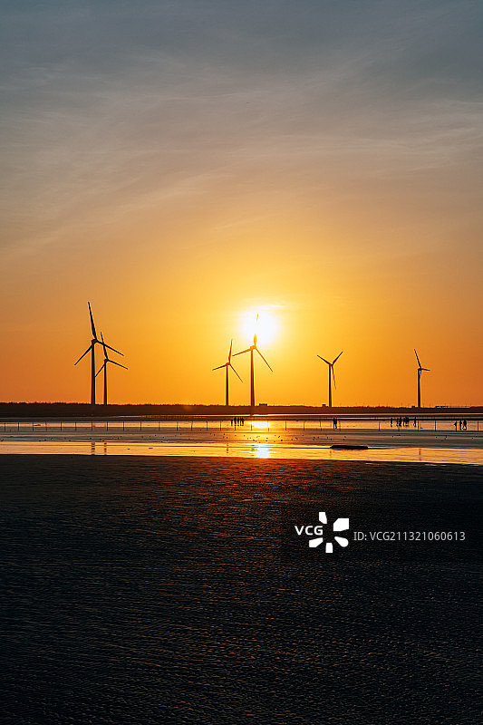 台中；高美湿地，既来之则安之的求学生涯图片素材