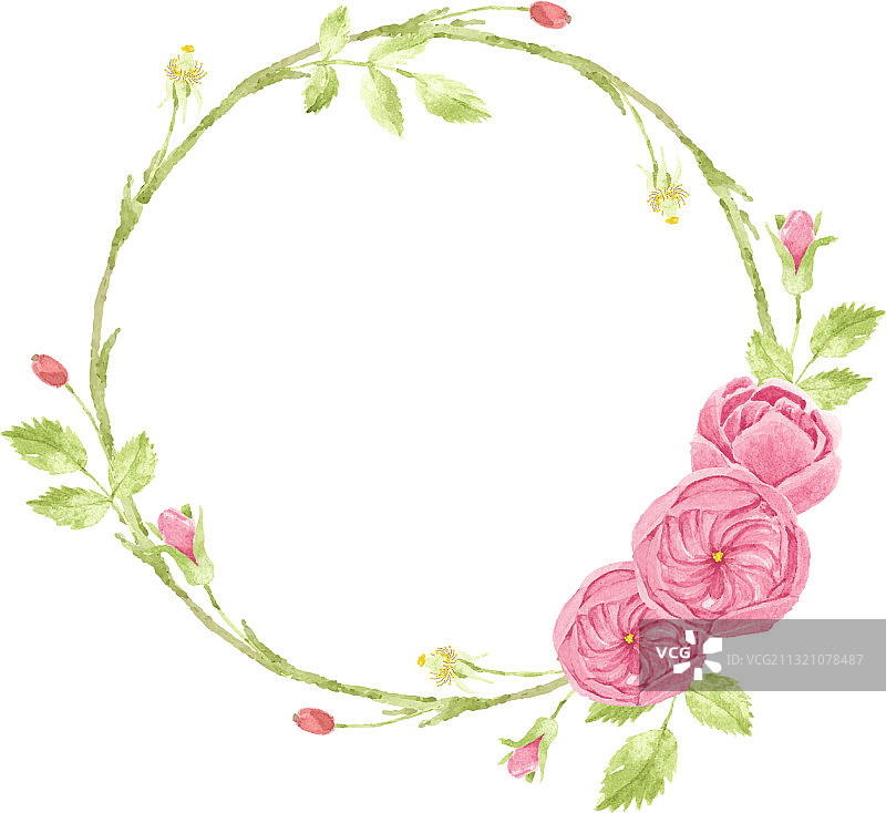 水彩粉色英国玫瑰花环框架图片素材
