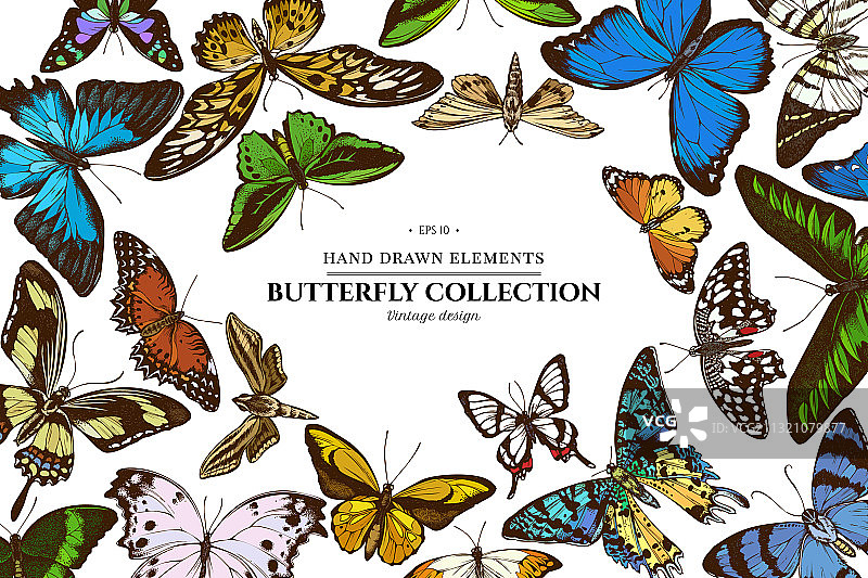 带有橙色提示的彩色元素设计图片素材