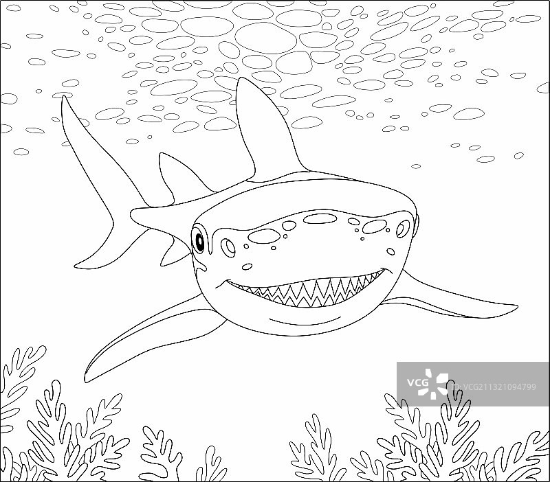 珊瑚礁上的鲨鱼攻击图片素材