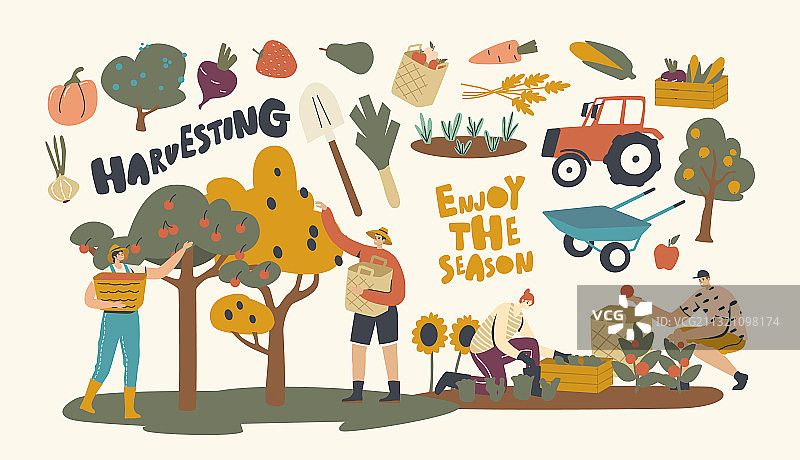 在花园或果园工作的农民图片素材