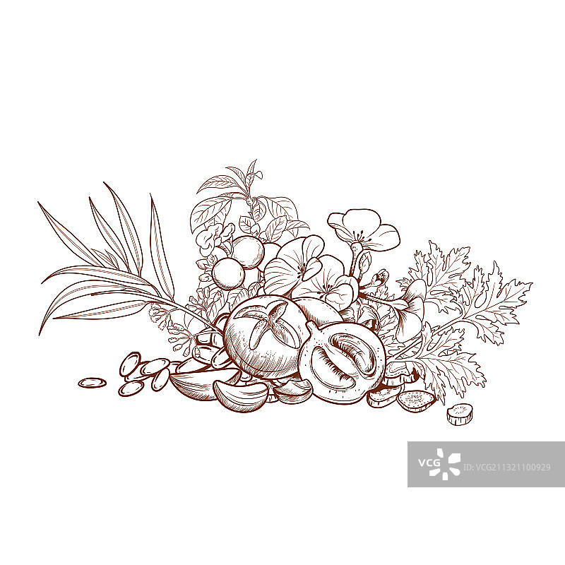 装饰画 花草图片素材