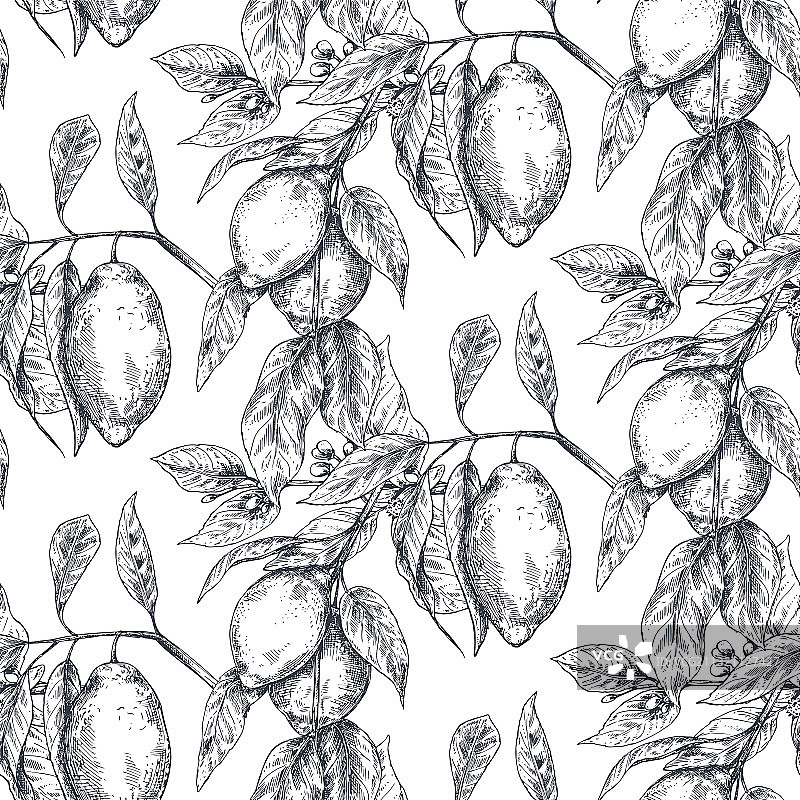 手绘新鲜元素无缝图案图片素材