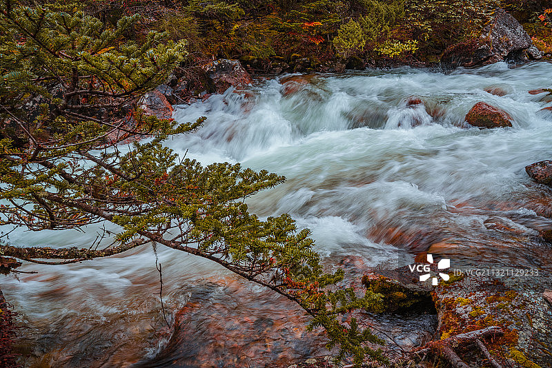 川西木格措景区秋色图片素材
