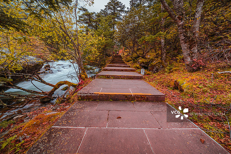 川西木格措景区秋色图片素材