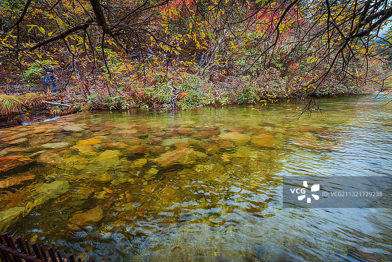 川西木格措景区秋色图片素材