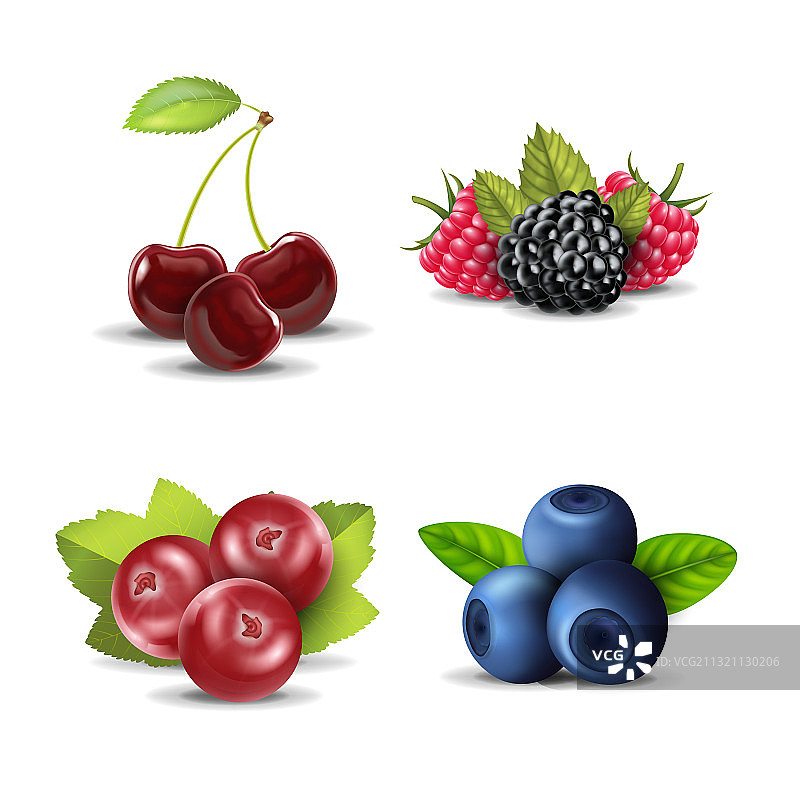 逼真细腻的3D原生态浆果套装图片素材