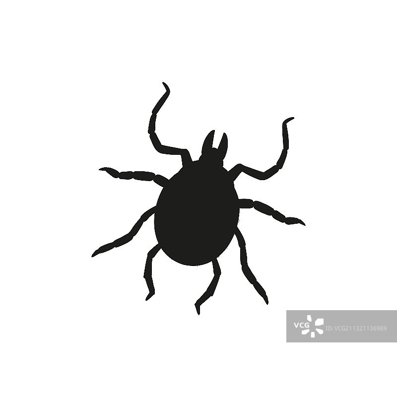 扁平风格的甲虫图片素材
