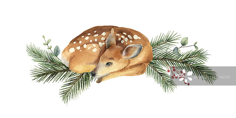 小鹿和冷杉水彩圣诞贺卡图片素材