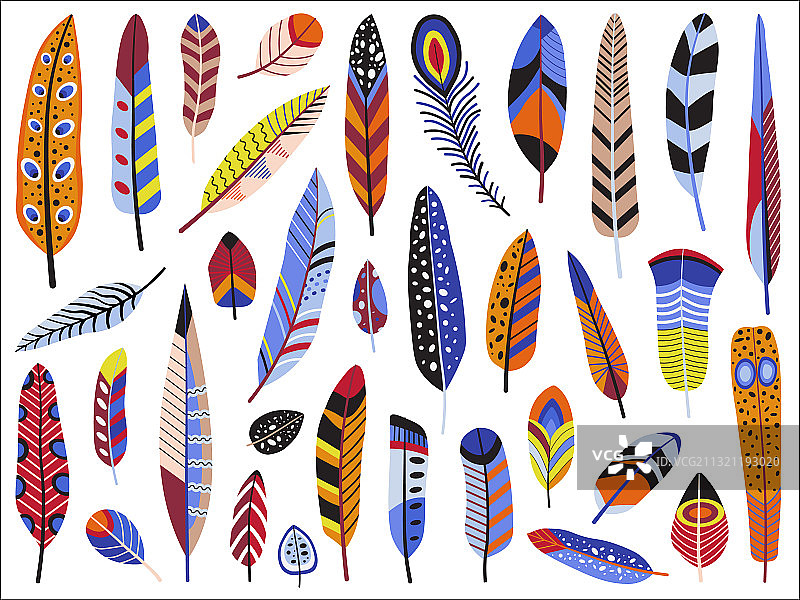 扁平风格的彩色鸟羽毛套装图片素材