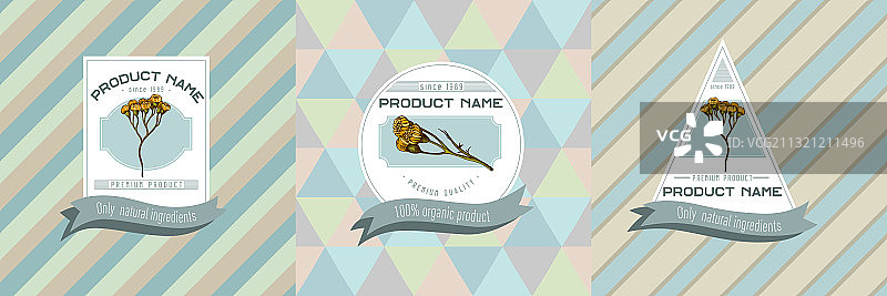 带艾菊的三色标签图片素材