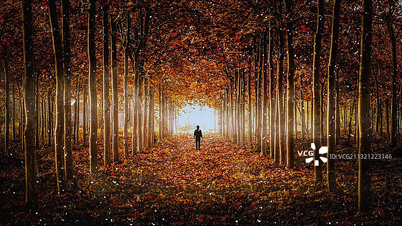 走向未来图片素材