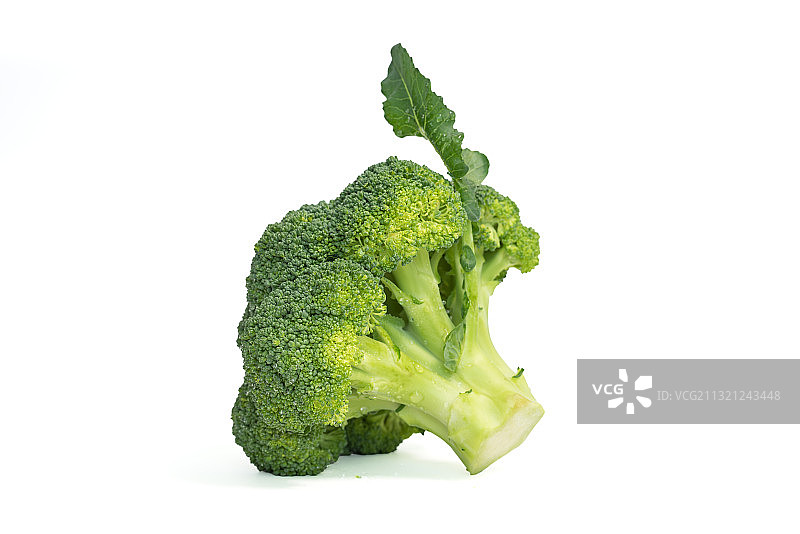 白色背景的西兰花图片素材