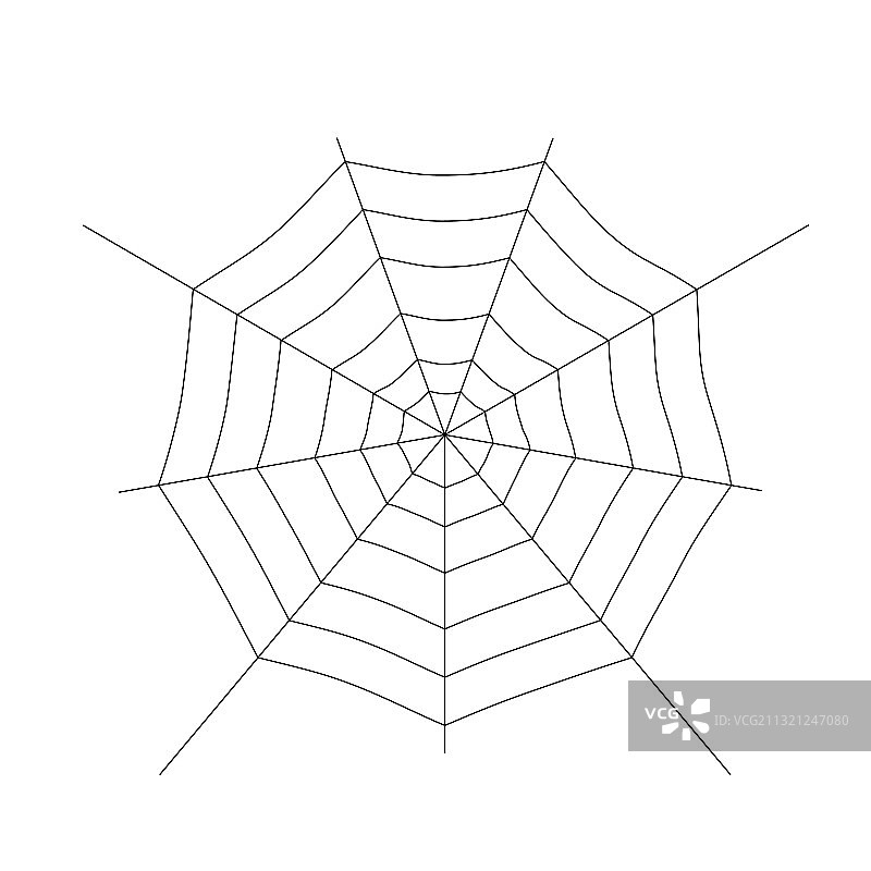 白色背景上的蜘蛛网图片素材