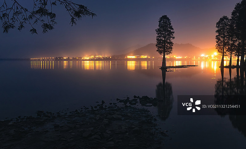 四明湖水杉林夜景图片素材