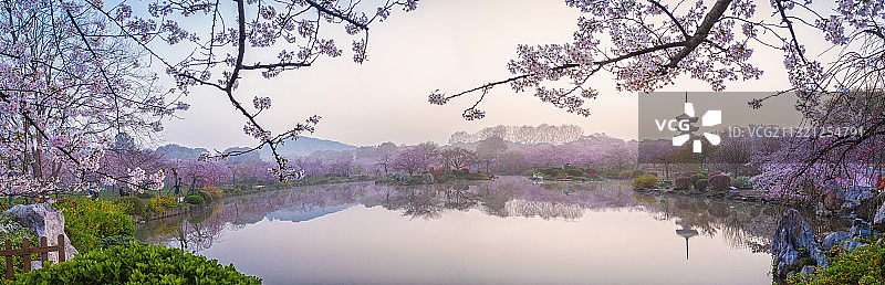 武汉东湖磨山景区樱园图片素材