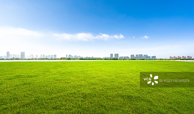 春天的草地图片素材