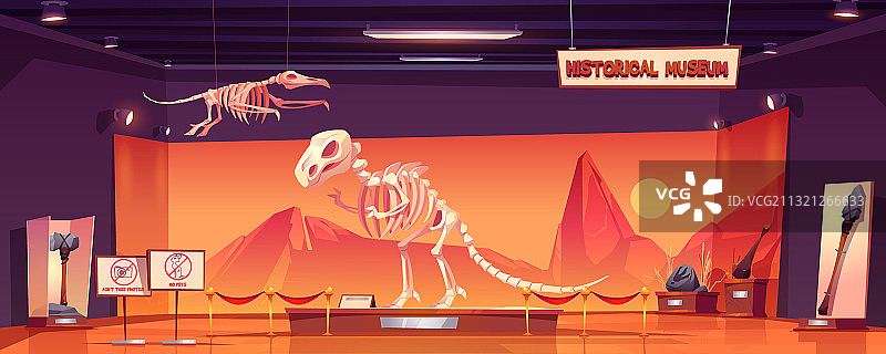 博物馆历史展览中的恐龙骨骼图片素材