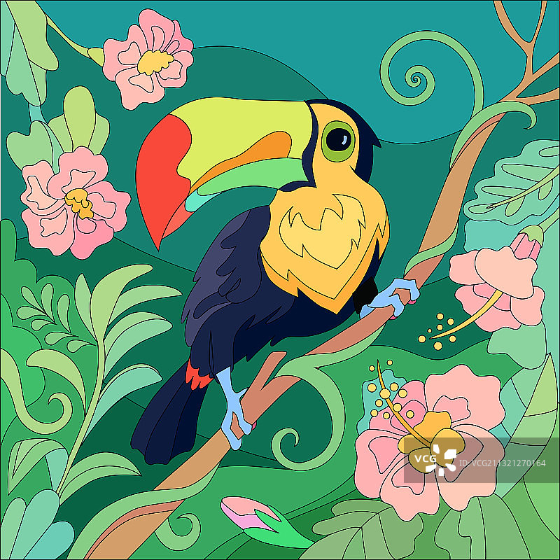 热带鸟类：巨嘴鸟热带风情图片素材