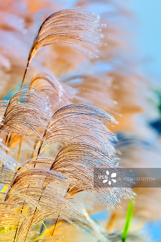 南汇新城海滩 上海图片素材