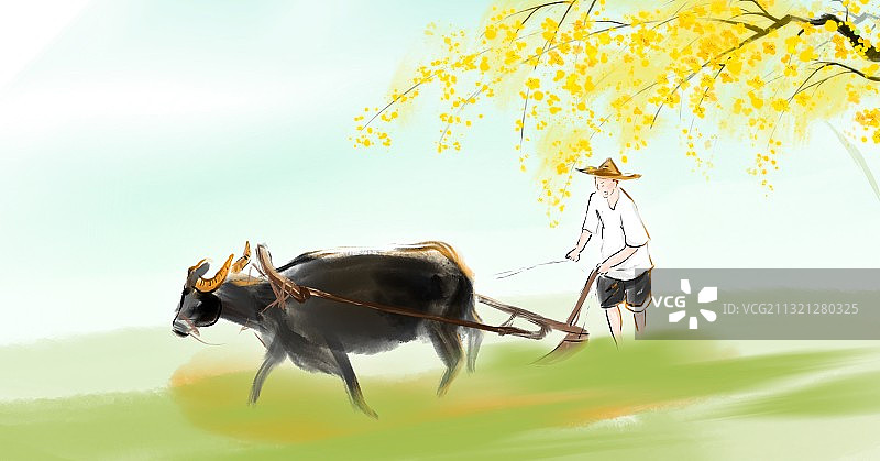 春天农村农田里耕种插秧的农民与耕牛图片素材