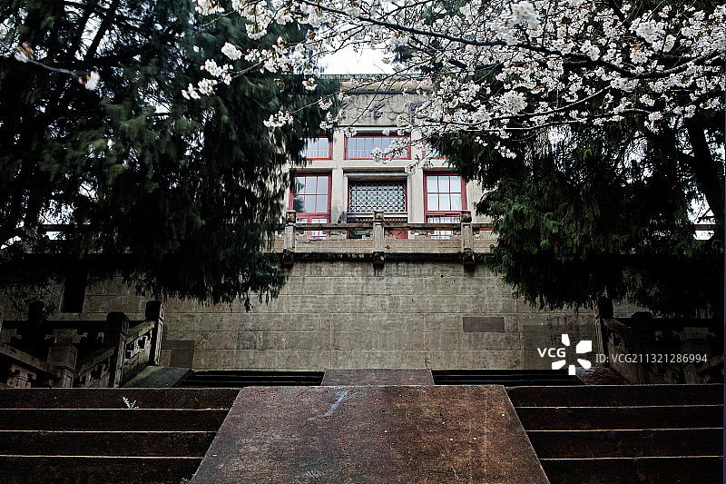 武汉大学樱花季图片素材
