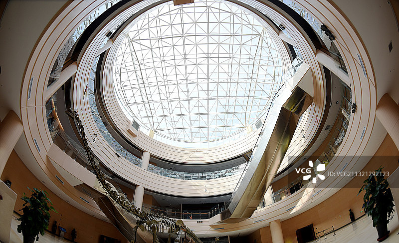 河北省张家口地质博物馆以及主题展览的一部分展品。图片素材