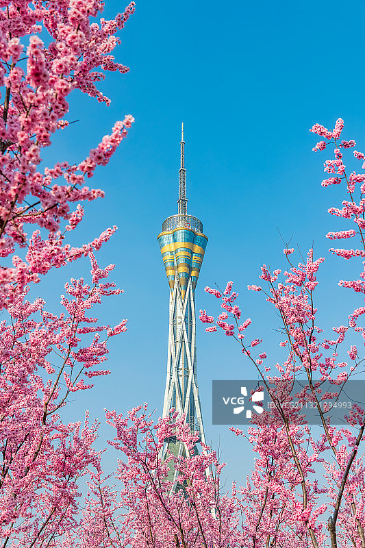 河南郑州地标建筑中原福塔春季梅花盛开户外风光图片素材