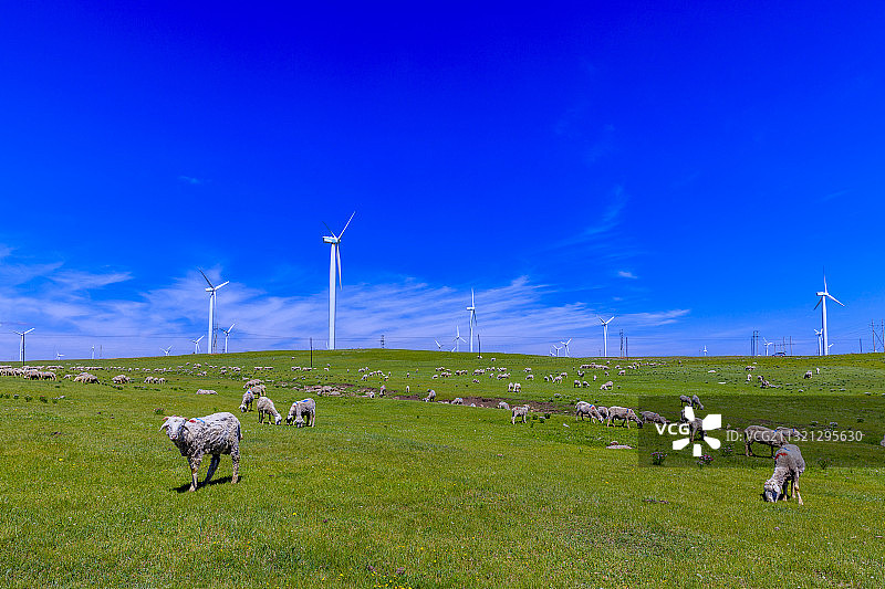 草原，羊群，风车，风力发电机组，辉腾锡勒大草原。图片素材