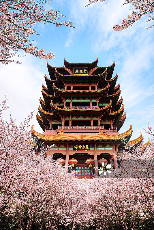 黄鹤楼樱花图片素材