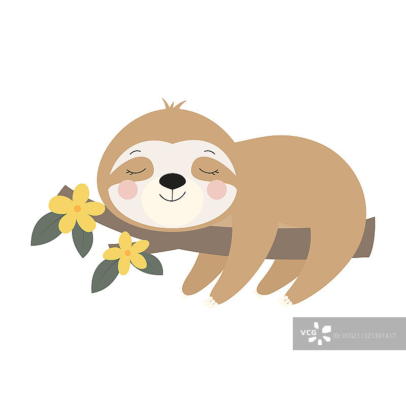 树枝上的可爱树懒卡片图片素材