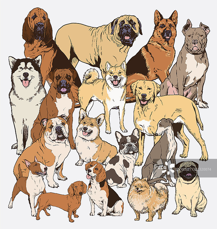 狗狗合集图片素材