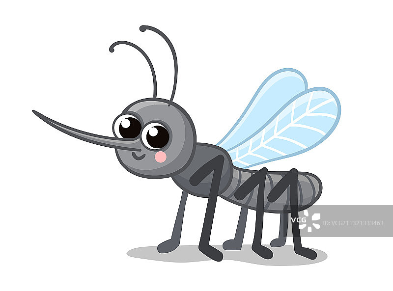 可爱的灰色蚊子图片素材