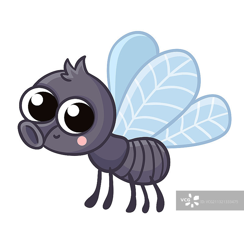 可爱的灰色苍蝇与昆虫图片素材