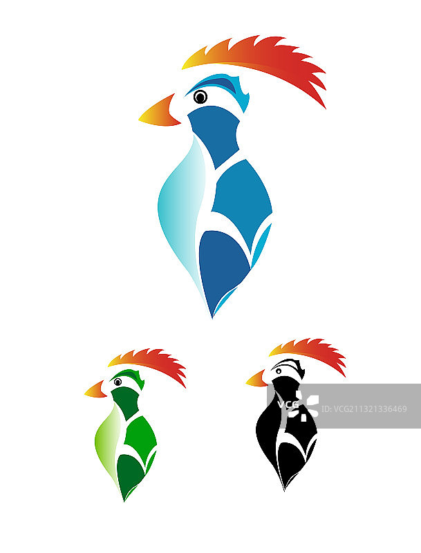 不同颜色组合的啄木鸟图片素材