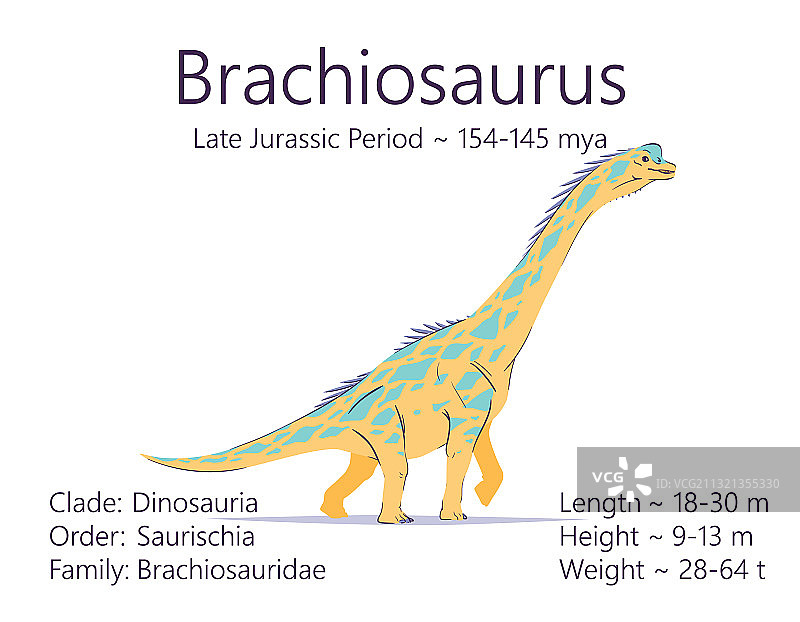 腕龙蜥脚亚目恐龙图片素材