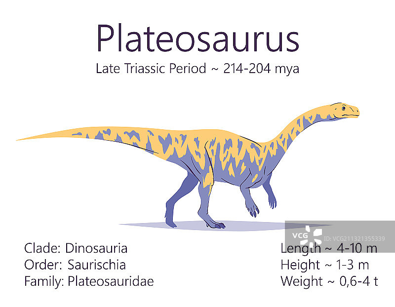 板龙蜥脚型亚目恐龙图片素材