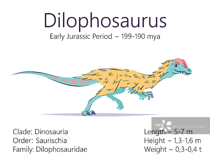 彩色双冠龙兽脚亚目恐龙图片素材