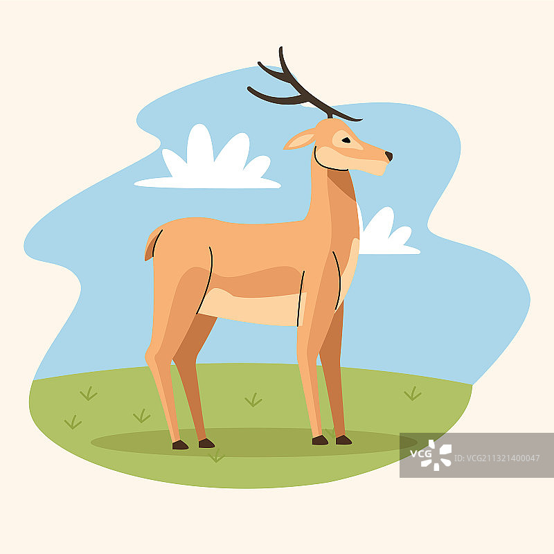 田野中的野生驯鹿图片素材