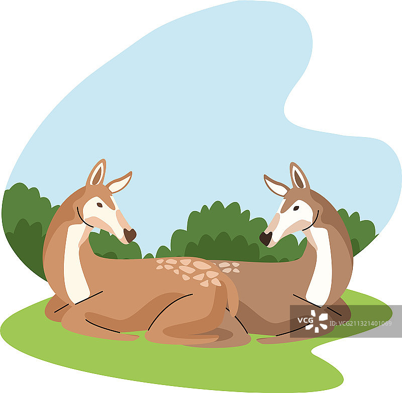 野生小鹿动物自然图标图片素材