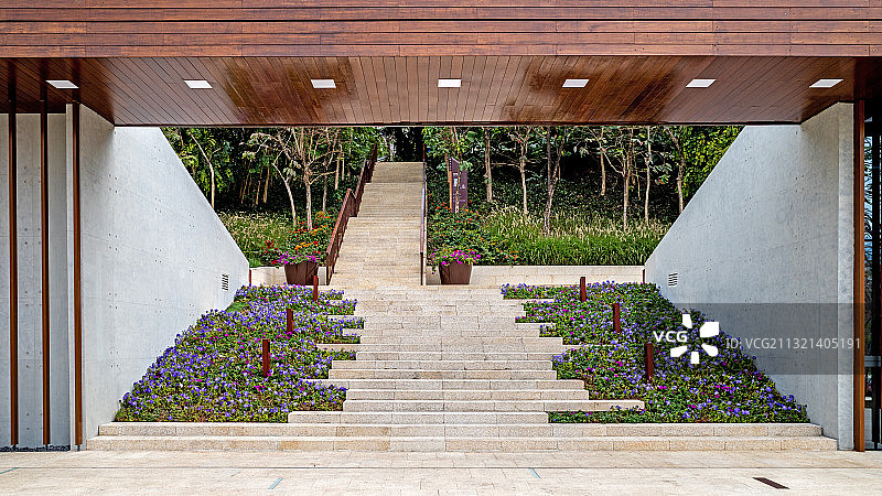 大沙河公园图片素材