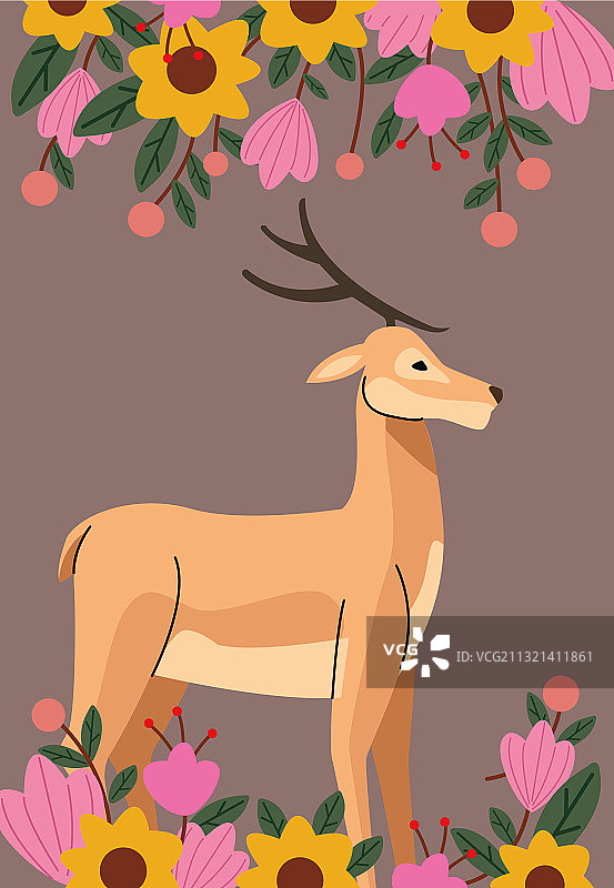 野生驯鹿与花园鲜花图片素材