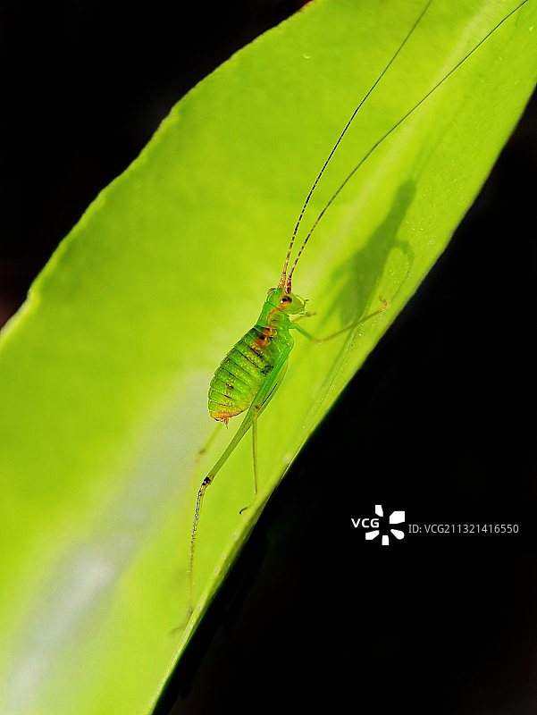 光影随行图片素材