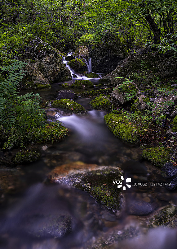 绿野仙踪图片素材