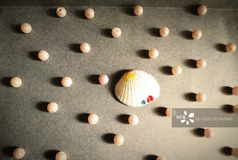 印度林苏古尔桌上的贝壳俯视图图片素材