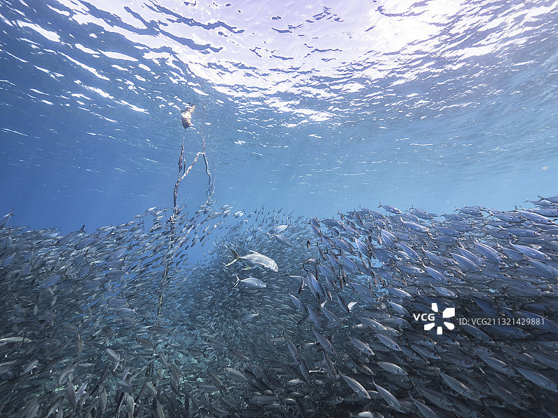 海水中飞溅的特写图片素材