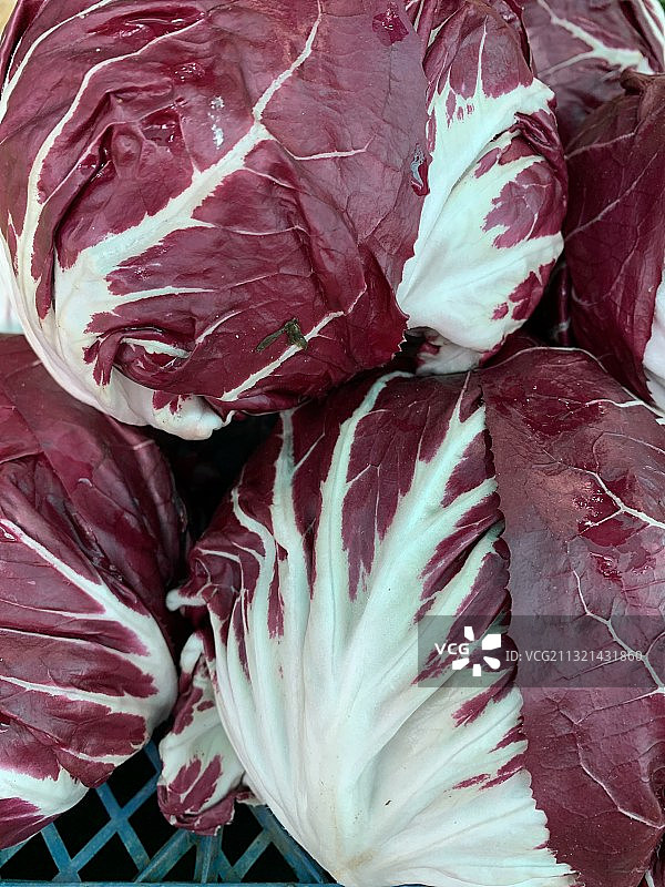 市场上出售的卷心菜特写图片素材