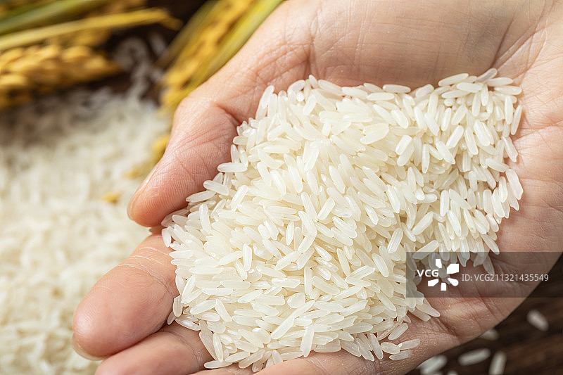 健康的食材茉莉香长粒米图片素材