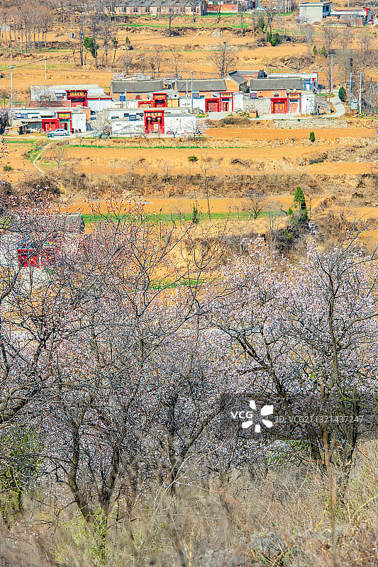 河南郑州新密市伏羲山尖山春季乡村杏花户外风光图片素材